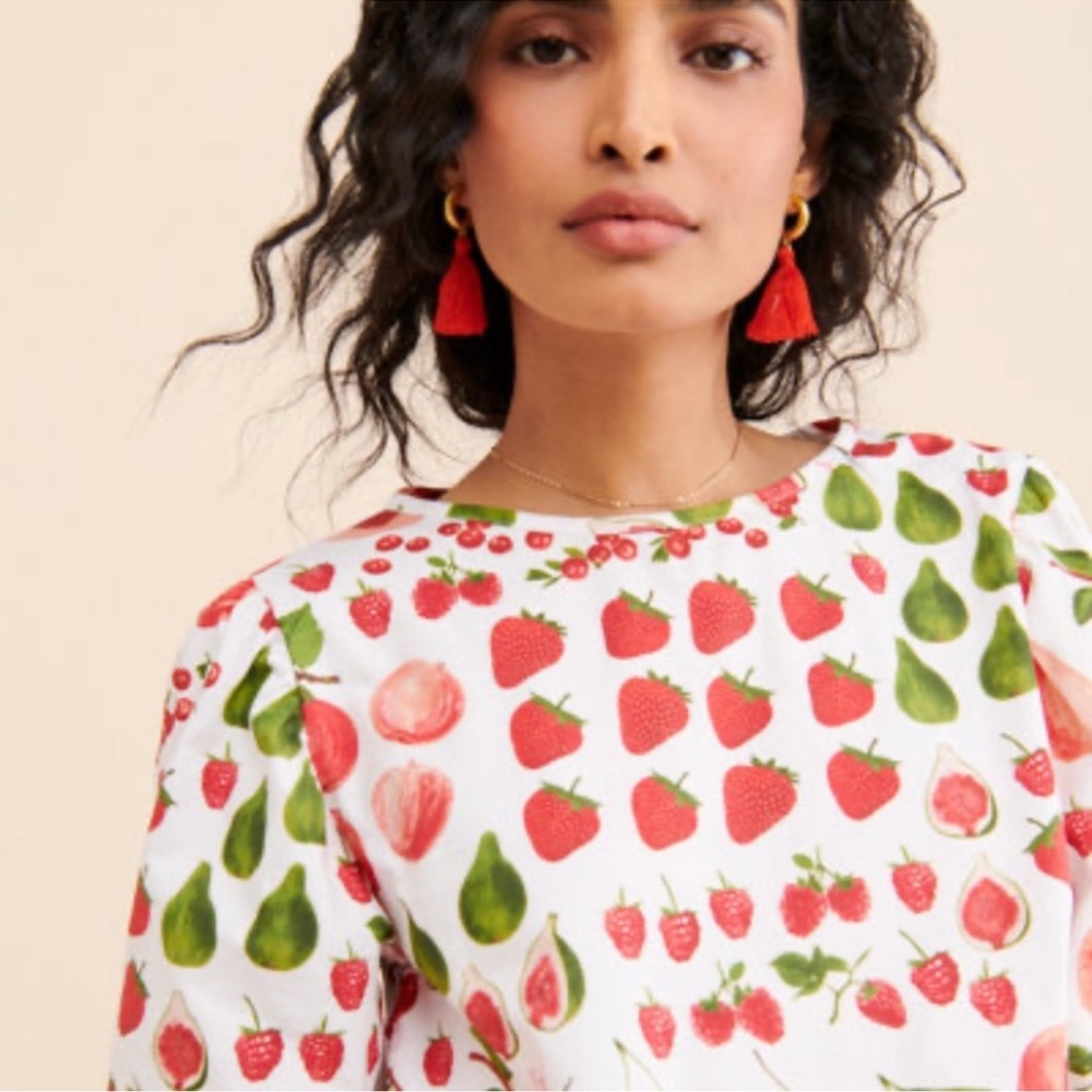 Lisa Says Gah Sadie Fruit Print Crop Top- RARE